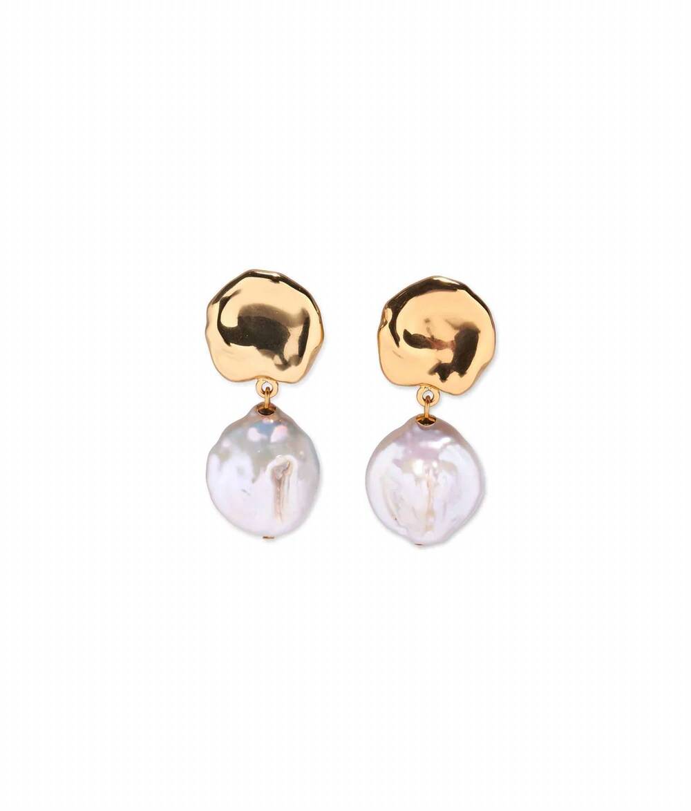 NEW LIZZIE FORTUNATO women's coin reflection earrings in gold